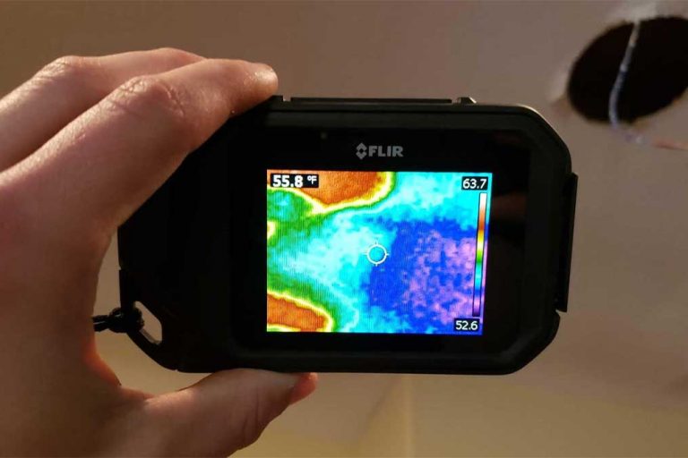 Water damage restoration expert scanning ceiling for mold