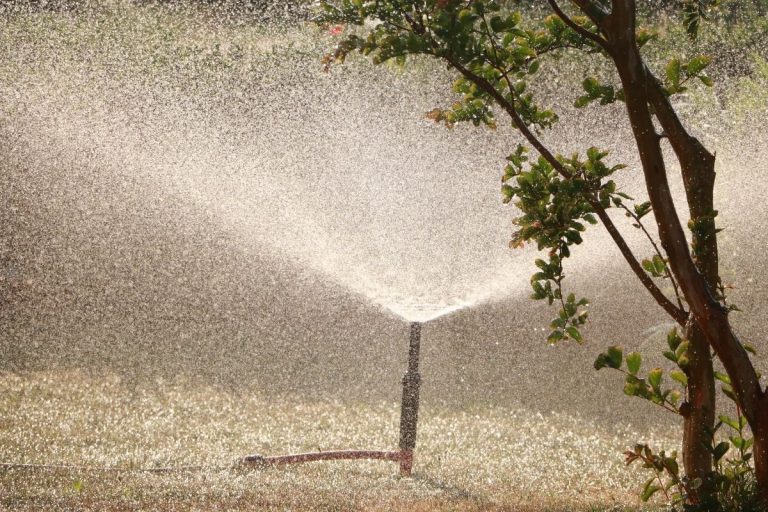 Can Sprinkler Systems Cause Water Damage?