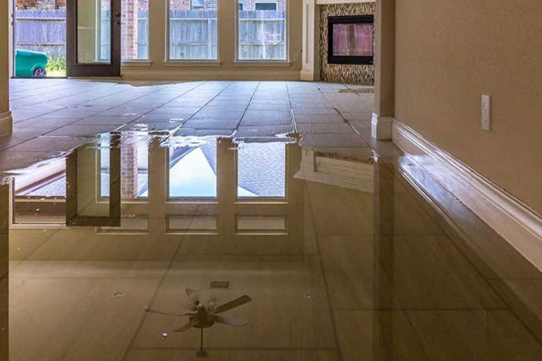 Water puddling throughout a home