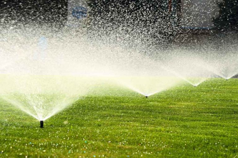 centeral-denver-restoration