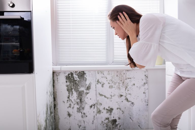 Woman Looking At Mold On Wall