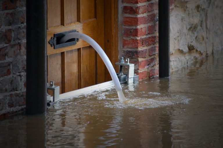 Expert Solutions and Prevention Tips